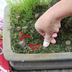 Hanagokoro Bonsai Dünger 3.0kg 7 Hanagokoro Bonsai Dünger 3.0kg -Pflanzen-Bonsai-Shop d2han30003