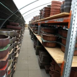 Bonsaischale 35.5x28x10cm Antik-Braun Oval Unglasiert 15 Bonsaischale 35.5x28x10cm Antik-Braun Oval Unglasiert -Pflanzen-Bonsai-Shop h36 412 ab7