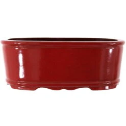 Bonsaischale 43.5x28x16cm Weinrot Oval Glasiert