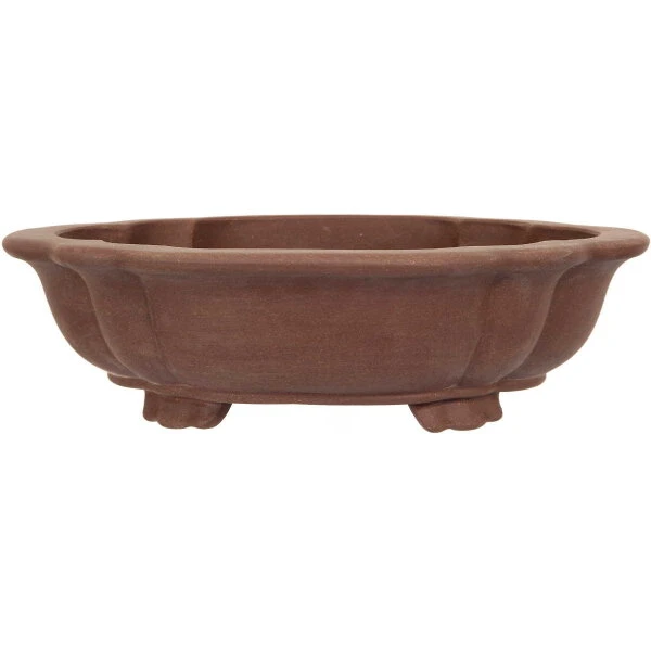 Bonsaischale 44x37x12.5cm Braun Lotusförmig Unglasiert 3 Bonsaischale 44x37x12.5cm Braun Lotusförmig Unglasiert