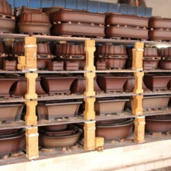 Bonsaischale 46x35.5x14cm Antik-Braun Rechteckig Unglasiert -Pflanzen-Bonsai-Shop h46 206 ab5