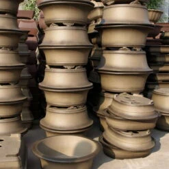 Bonsaischale 46.5x37.5x12.5cm Antik-Grau Oval Unglasiert 14 Bonsaischale 46.5x37.5x12.5cm Antik-Grau Oval Unglasiert -Pflanzen-Bonsai-Shop h47 452 ag6