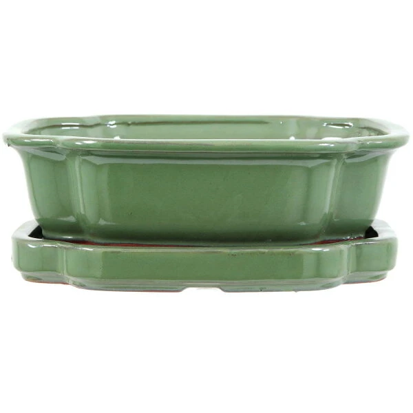 Bonsaischale Mit Untersetzer 25x20x8cm Hellgrün Sonstige Form Glasiert 3 Bonsaischale Mit Untersetzer 25x20x8cm Hellgrün Sonstige Form Glasiert