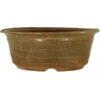 Bonsaischale 19.5x19x7.5cm Gelbbraun Rund Glasiert 1 Bonsaischale 19.5x19x7.5cm Gelbbraun Rund Glasiert -Pflanzen-Bonsai-Shop p20ru23073a