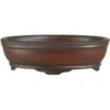 Bonsaischale 15x11x4.5cm Antik-Braun Oval Unglasiert -Pflanzen-Bonsai-Shop s15 314 ab