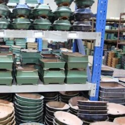 Bonsaischale 18x18x6cm Dunkelbraun Sonstige Form Unglasiert 13 Bonsaischale 18x18x6cm Dunkelbraun Sonstige Form Unglasiert -Pflanzen-Bonsai-Shop s18 830 db7