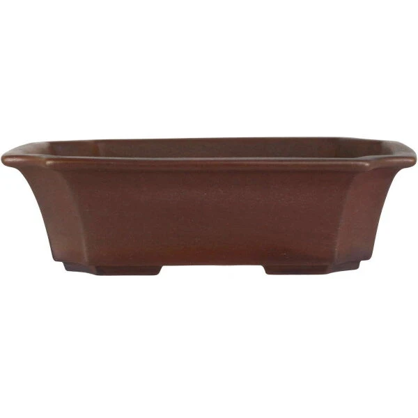 Bonsaischale 20.5x16.5x6cm Dunkelbraun Rechteckig Unglasiert 3 Bonsaischale 20.5x16.5x6cm Dunkelbraun Rechteckig Unglasiert