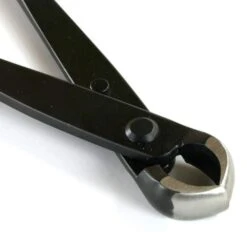 Knospenzange 18cm Solide Schwarz Geschliffen -Pflanzen-Bonsai-Shop wz r aq2 g4