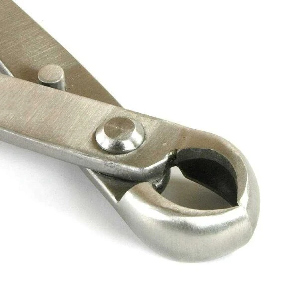 Knospenzange 18cm Top Edelstahl 5 Knospenzange 18cm Top Edelstahl – Bild 3