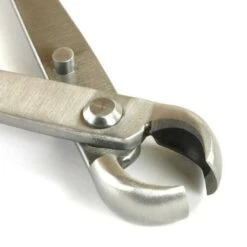 Knospenzange 18cm Top Edelstahl 10 Knospenzange 18cm Top Edelstahl -Pflanzen-Bonsai-Shop wz r aq3 e5