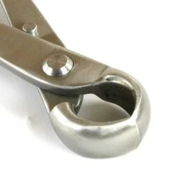 Knospenzange 21cm Top Edelstahl -Pflanzen-Bonsai-Shop wz r bq3 e4