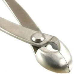 Runde Konkavzange 20.5cm Top Edelstahl 9 Runde Konkavzange 20.5cm Top Edelstahl -Pflanzen-Bonsai-Shop wz rk bq3 e5