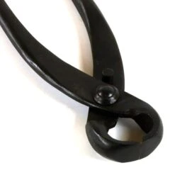 Wurzelzange 18cm Standard Schwarz 8 Wurzelzange 18cm Standard Schwarz -Pflanzen-Bonsai-Shop wz w aq14