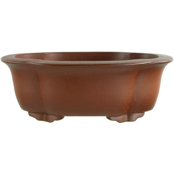 Bonsaischale 17x13x6cm Masteredition Antik Braun Lotusförmig Unglasiert 3 Bonsaischale 17x13x6cm Masteredition Antik Braun Lotusförmig Unglasiert