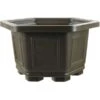Bonsaischale 27.8x27.8x17.3cm Dunkelbraun Sechseckig Kunststoff -Pflanzen-Bonsai-Shop z ps h28 db