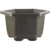 Bonsaischale 33.6x33.6x20.3cm Dunkelbraun Sechseckig Kunststoff 2 Bonsaischale 33.6x33.6x20.3cm Dunkelbraun Sechseckig Kunststoff -Pflanzen-Bonsai-Shop z ps h34 db