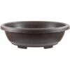 Bonsaischale 47.7x37.7x15cm Dunkelbraun Oval Kunststoff 1 Bonsaischale 47.7x37.7x15cm Dunkelbraun Oval Kunststoff -Pflanzen-Bonsai-Shop z ps o48 db